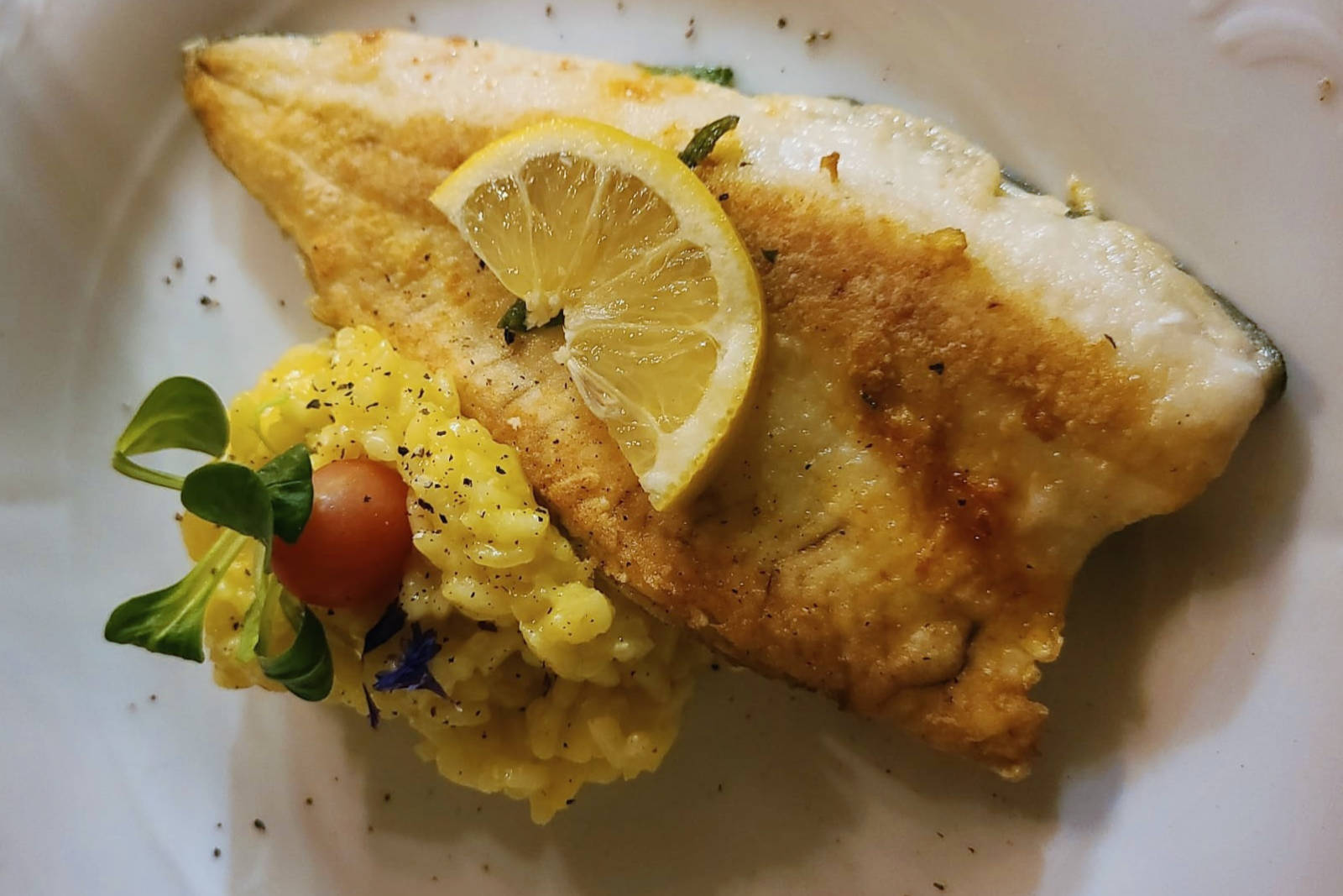Fisch mit Rissotto