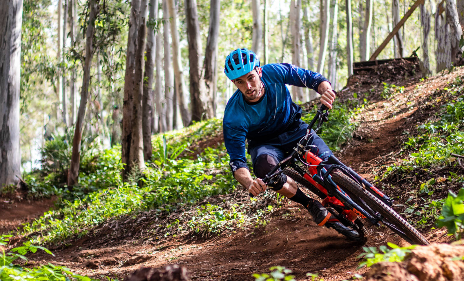 Mountainbiker im Wald - Foto von Adrián Gómez - Millán Díaz / Pixabay